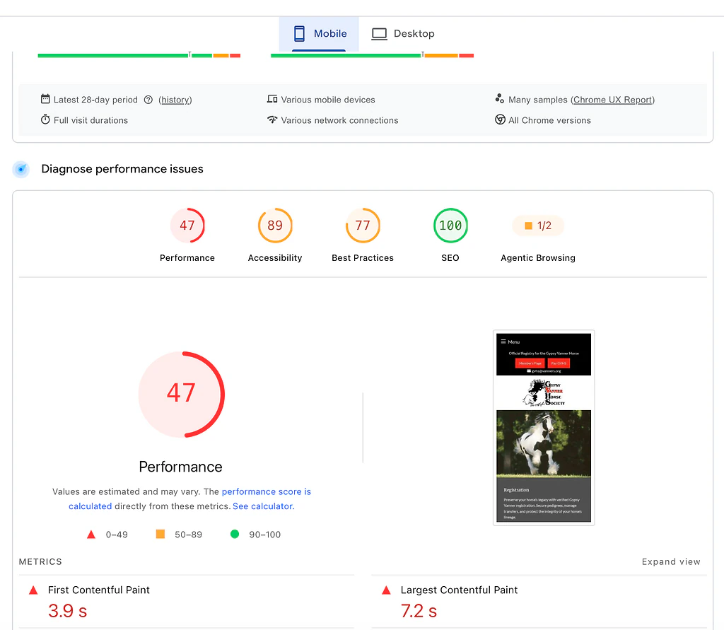 Screenshot of PageSpeed Insights mobile report for a WordPress site showing a performance score of 47