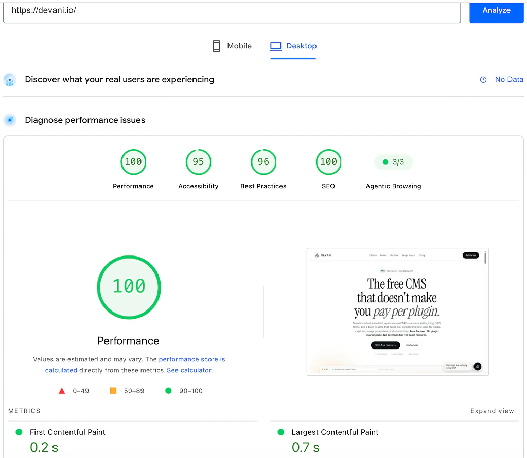 Devani desktop PageSpeed Insights lab report showing a 100 performance score