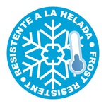Frost Resistant Icon with Snowflake and Thermometer Frost-resistant symbol with a large snowflake and a thermometer inside a blue circle.