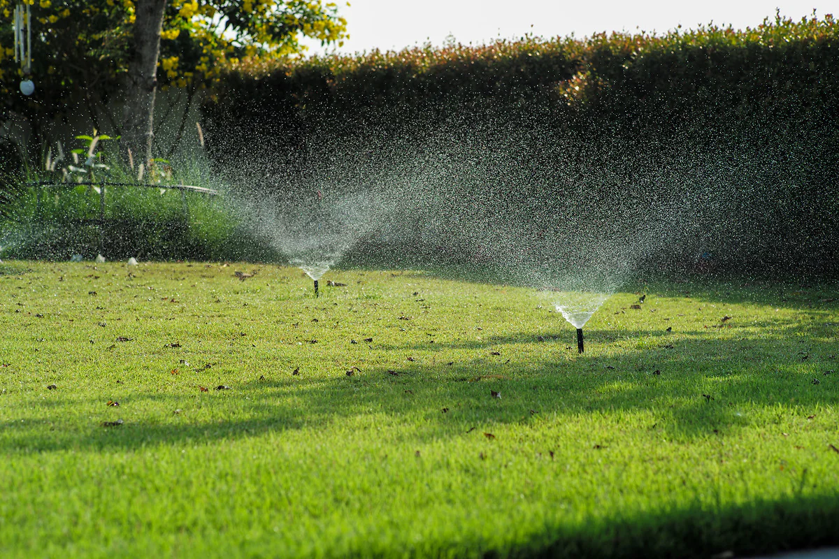 5 Signs Your Sprinkler System Is Wasting Water (And How to Fix Them)