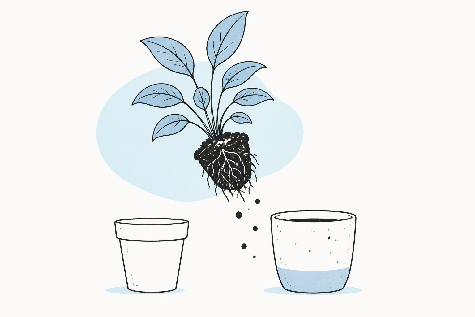 Leaving WordPress: A Realistic Guide to Migrating Away